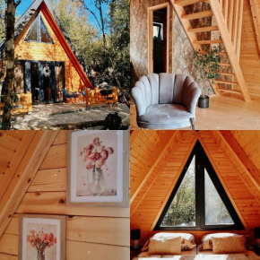 Woodland paradise Charming wooden houses in stone